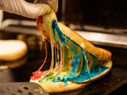 Sareni istopljeni sir