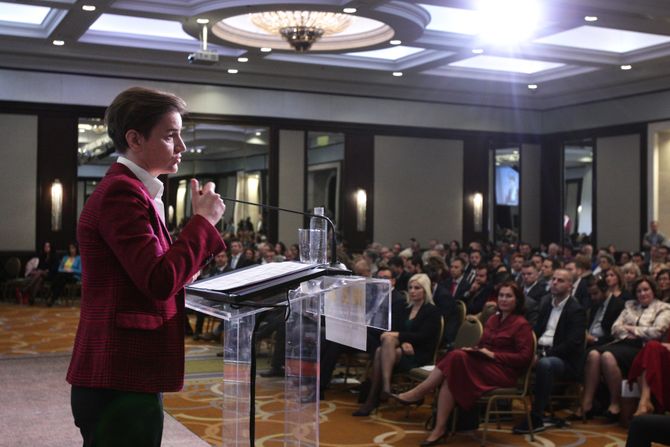 Ana Brnabić, Bela knjiga