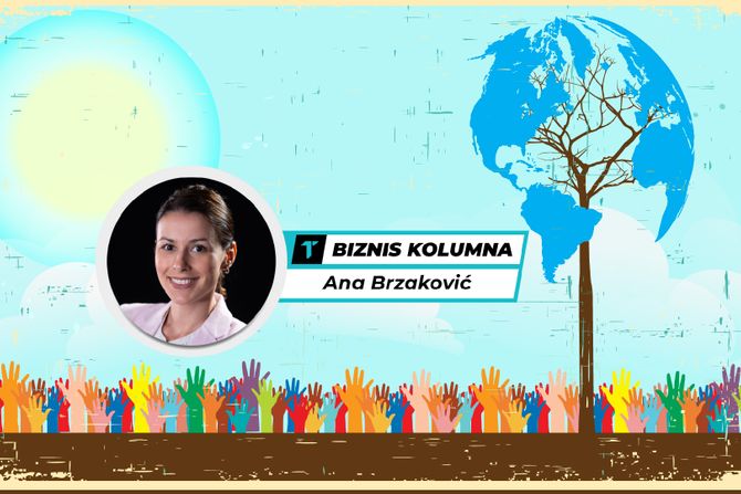 Ana Brzaković, Biznis kolumna