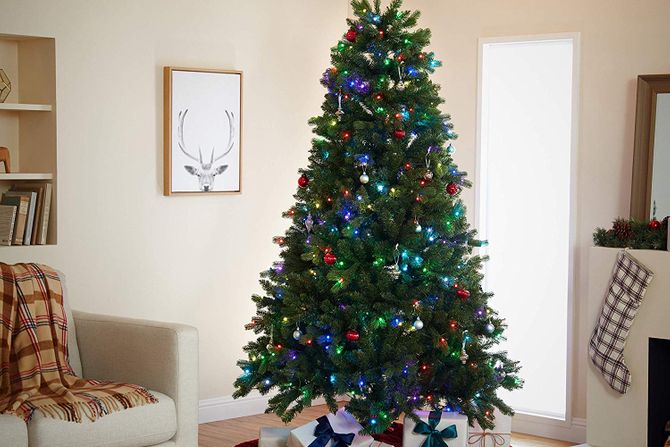 Amazon jelka Amazon jelka