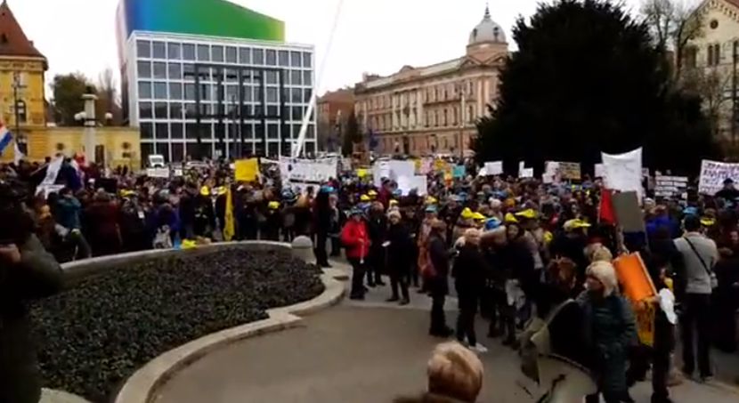 Održan protest u Sisku protiv megafarmi pilića i klanica: Najavljen novi skup u junu