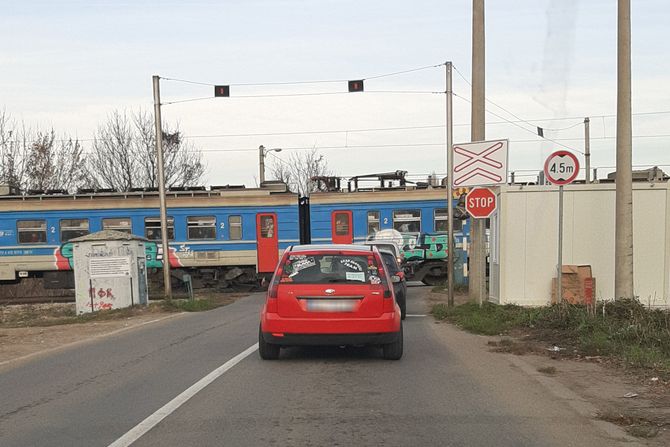 Voz u Zemun Polju