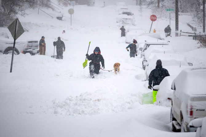 Snežna oluja sneg Amerika hladno vreme