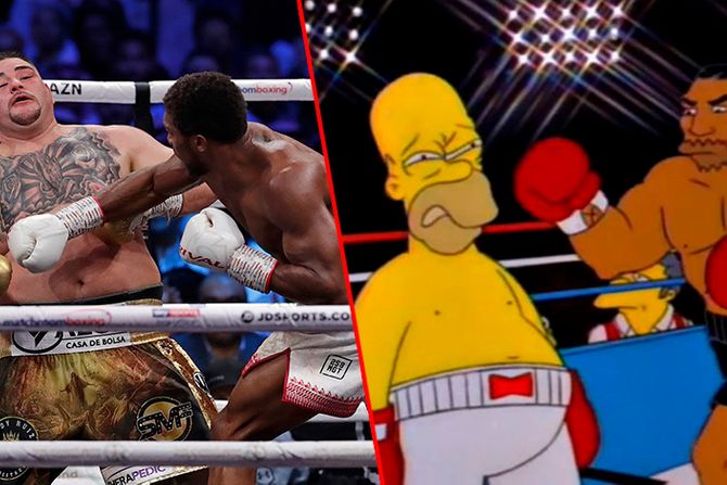 Homer Simpson, boks