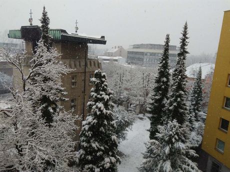 Ljubljana, Slovenija, sneg, zima