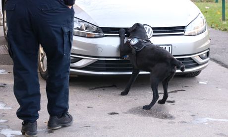 Carina pas Carina pas