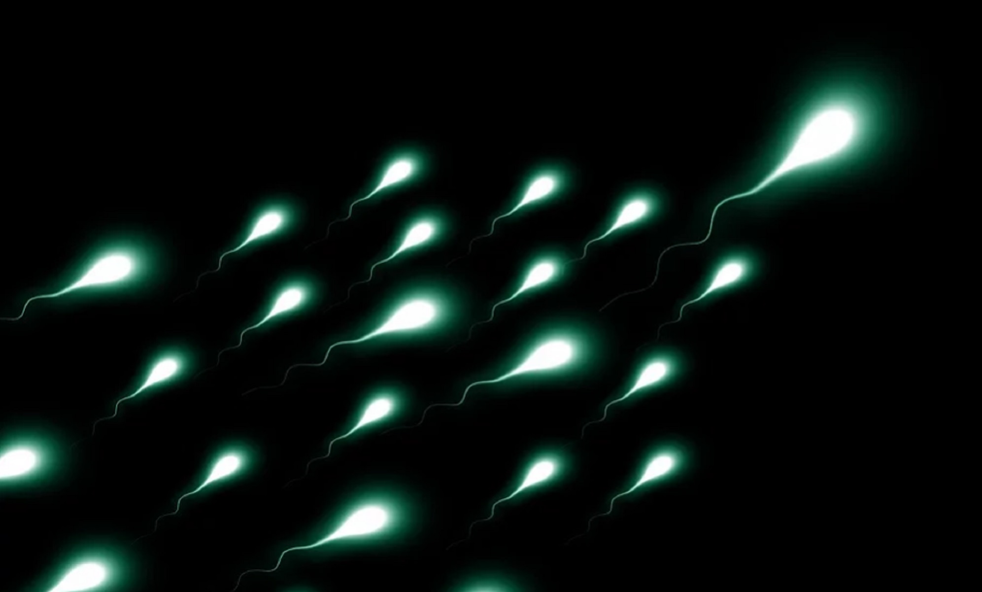 Toksini i klimatski uticaji su verovatan uzrok smanjene plodnosti