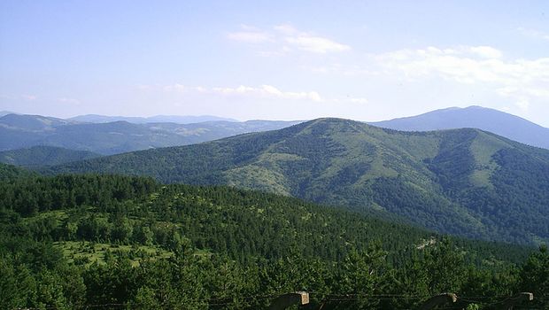 Planina Goc