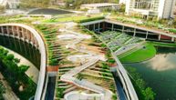 Zeleni krovovi mogu rashladiti gradove i sačuvati energiju
