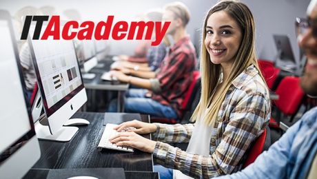 IT academy nova godina, Link Group