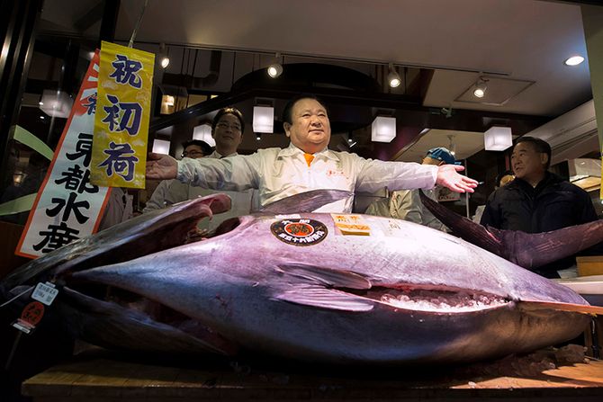 Japan najveća Tuna