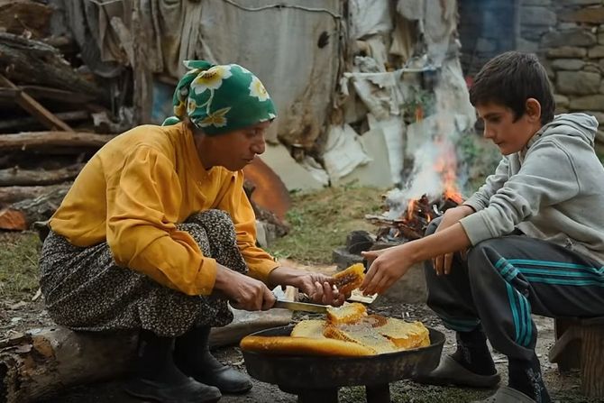 Dokumentarni film Zemlja meda