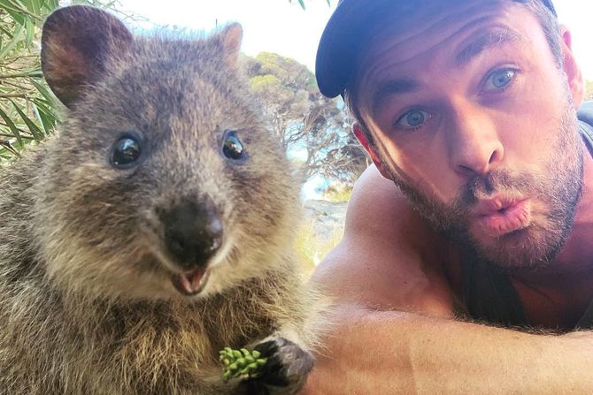 Kris Hemsvort Kris Hemsvort