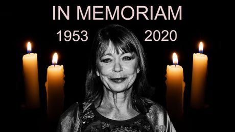 Neda Arnerić preminula, In Memoriam Neda Arnerić preminula, In Memoriam