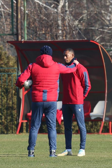 Dejan Stanković, Radživ van la Para Dejan Stanković, Radživ van la Para