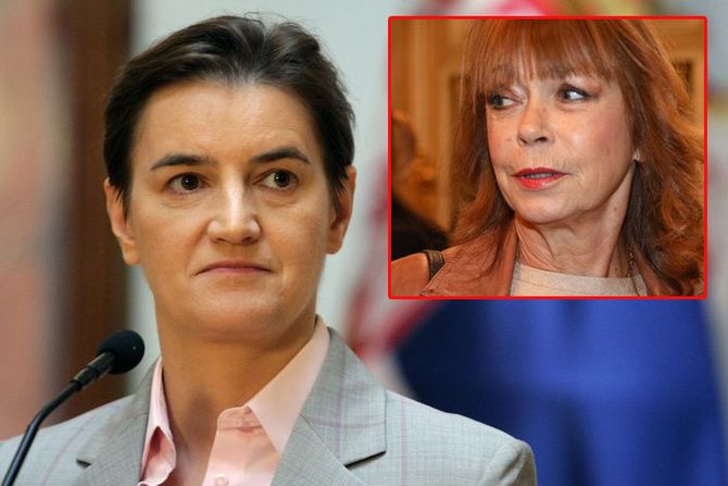 Ana Brnabić, Neda Arnerić