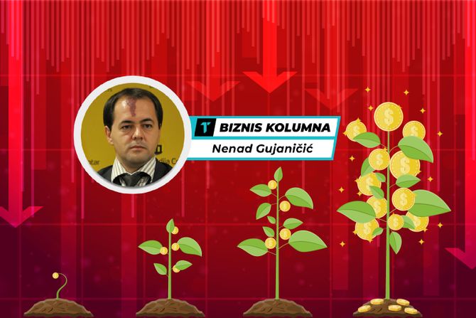 Nenad Gujaničić, Biznis kolumna