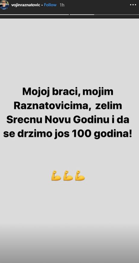 Vojin Ražnatović Vojin Ražnatović