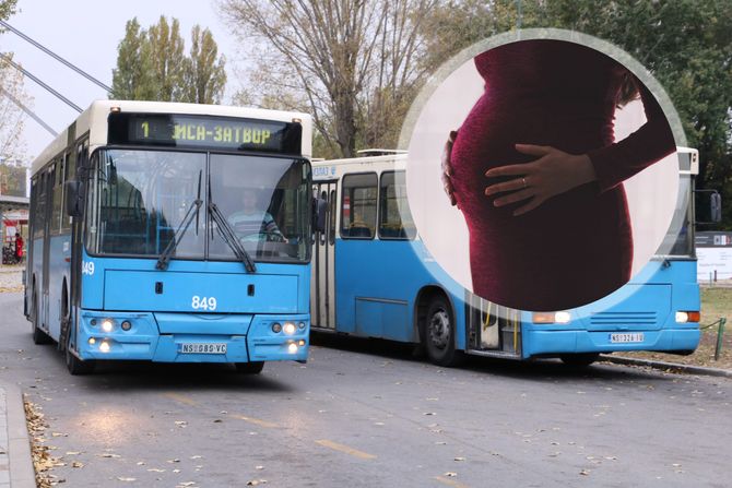 GSP novi sad trudnica kazna GSP novi sad trudnica kazna