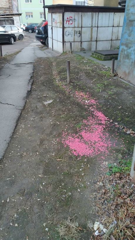 Smederevo, otrvo za pacove Smederevo, otrvo za pacove