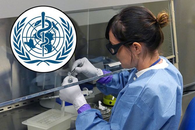 Svetska zdravstvena organizacija, virusi epidemija, world health organization