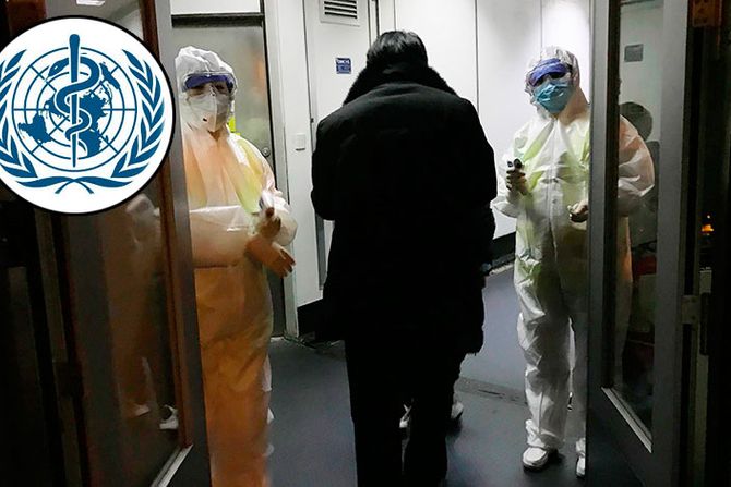 Svetska zdravstvena organizacija, virusi epidemija, world health organization