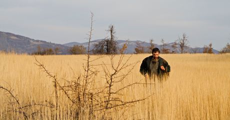 Otac, Goran Bogdan