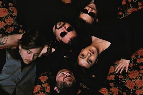 Dingospo Dali Dingospo Dali