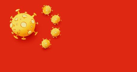 Kineska zastava virus