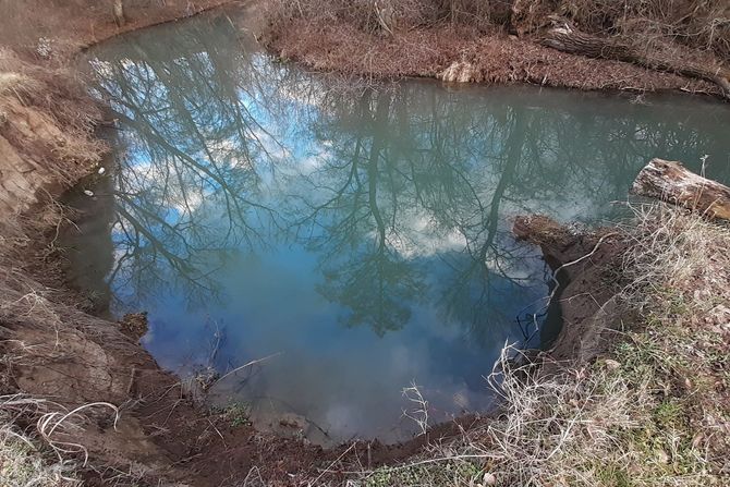 Moravica iznenada dobila zastrašujuće plavu boju, a ribe plivaju ...
