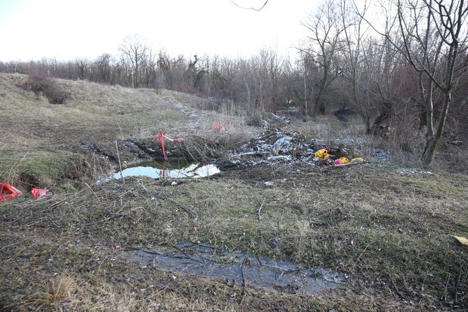 Potok sa mrtvim životinjama, Valjevo