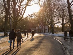 sunčano hladno vreme, zima, zubato sunce, vremenska prognoza