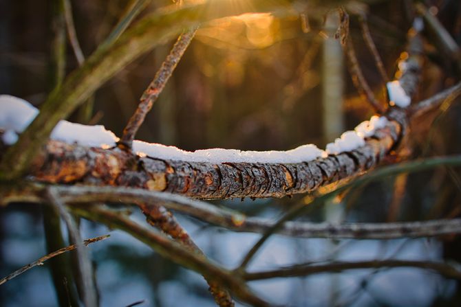 sunčano hladno vreme, zima, zubato sunce, vremenska prognoza