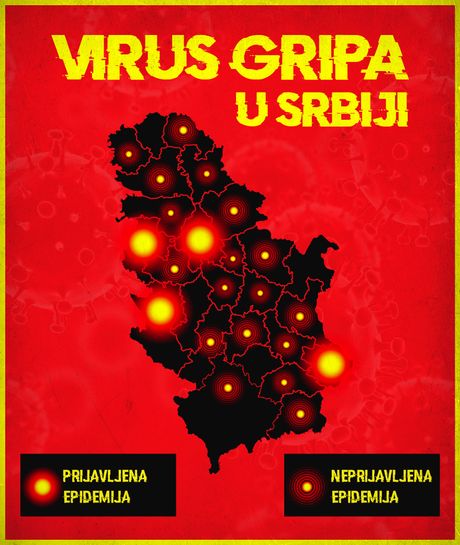 Virus gripa u Srbiji Virus gripa u Srbiji