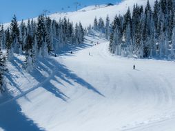 Jahorina, planina, sneg, zima, zimovanje, pridoda, odmor, putovanja, skijanje, ski staza