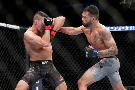 UFC 247 Mixed Martial Arts UFC 247 Mixed Martial Arts