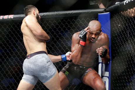 UFC 247 Mixed Martial Arts UFC 247 Mixed Martial Arts
