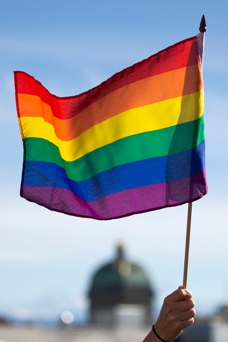 Švajcarska glasanje, LGBT Switzerland Anti Homophobia Law