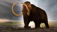 Ogromna vilica mamuta stara barem 10.000 godina izvađena iz reke u Floridi