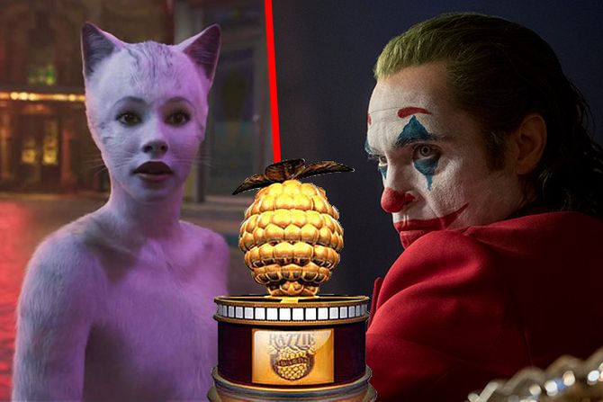 Mačke, cats, Džoker Hoakin Finiks Mačke, cats, Džoker Hoakin Finiks