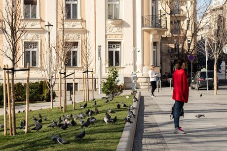 Vremenska prognoza, ZIMA lepo suncano VREME, kafici