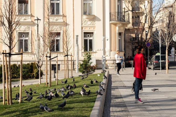 Vremenska prognoza, ZIMA lepo suncano VREME, kafici