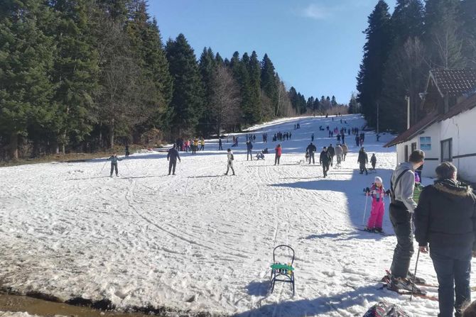 Planina Goč