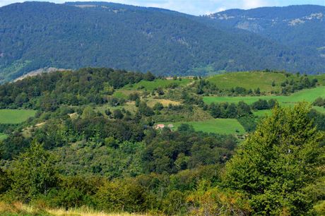 Planina Golija Planina Golija