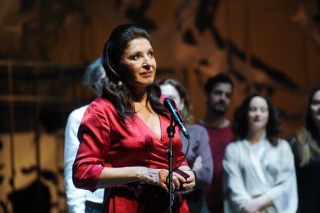 Mirjana Karanovic, Dobricin prsten Mirjana Karanovic, Dobricin prsten