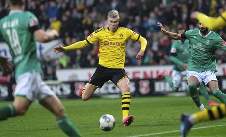 Erling Haland Erling Haland