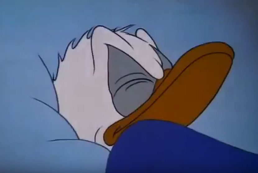 Paja Patak i neobična švedska božićna tradicija