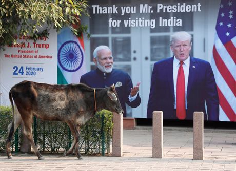 Donald Tramp, Indija Donald Tramp, Indija