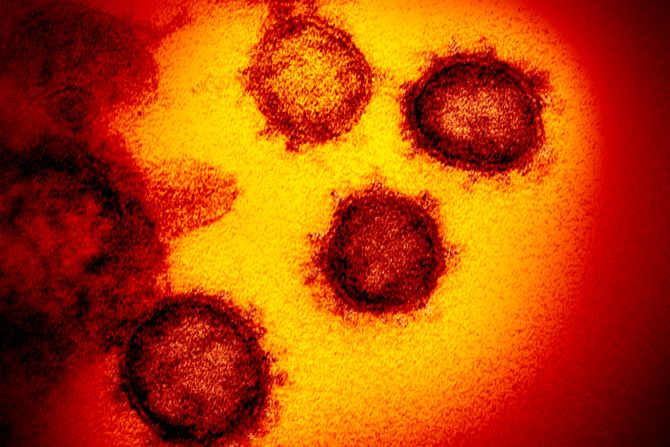 Korona virus