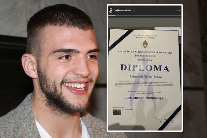 Veljko Raznatović, diploma